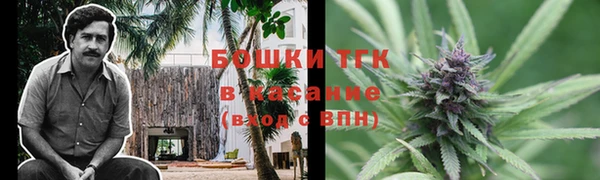 ПСИЛОЦИБИНОВЫЕ ГРИБЫ Абдулино