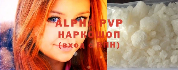 прущие грибы Абаза