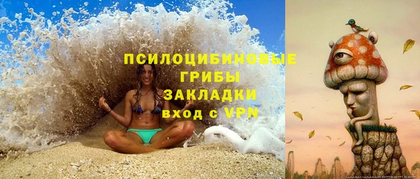 прущие грибы Абаза