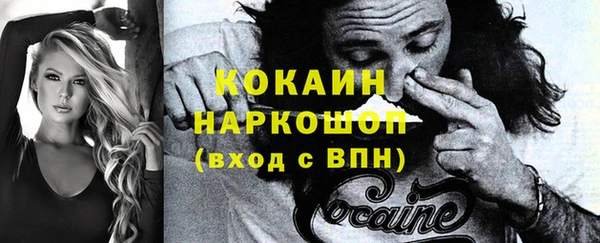 прущие грибы Абаза