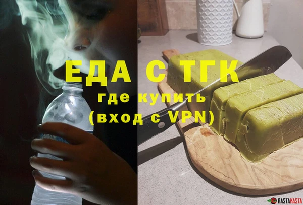крисы Корсаков