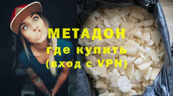 прущие грибы Абаза