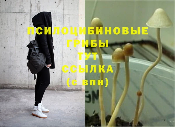 амфетамин Абинск