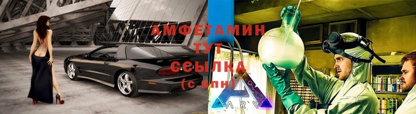 прущие грибы Абаза