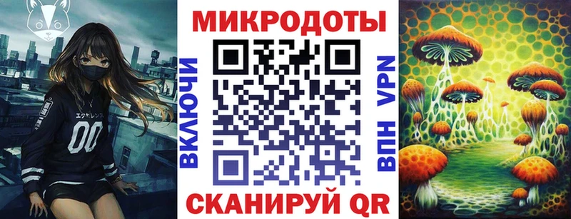 как найти наркотики  Дальнереченск  Псилоцибиновые грибы GOLDEN TEACHER 
