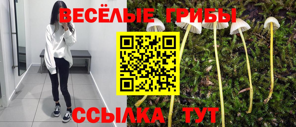 Дальнереченск  Псилоцибиновые грибы GOLDEN TEACHER  цены наркотик  Вход с VPN 