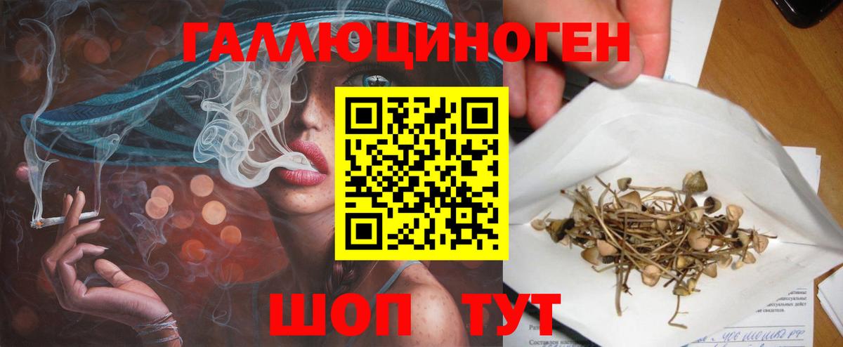 Псилоцибиновые грибы мухоморы Дальнереченск